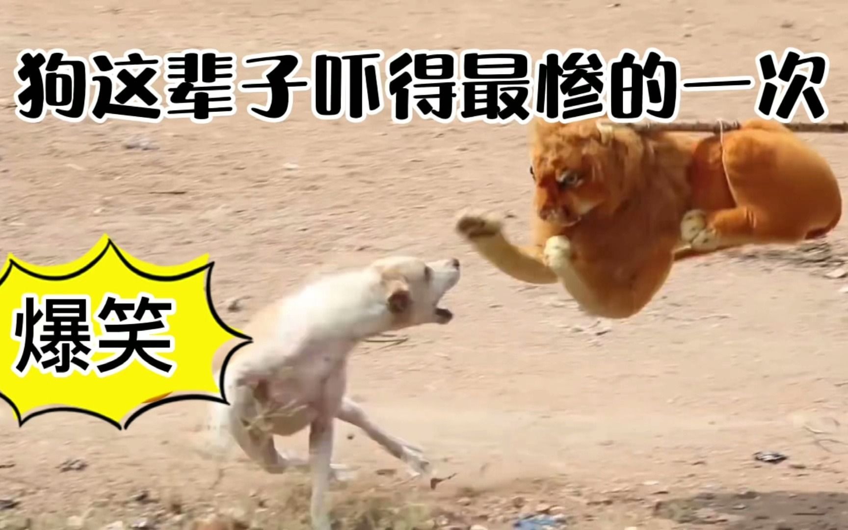 在线视频看看_在线视频看看_在线视频看看
