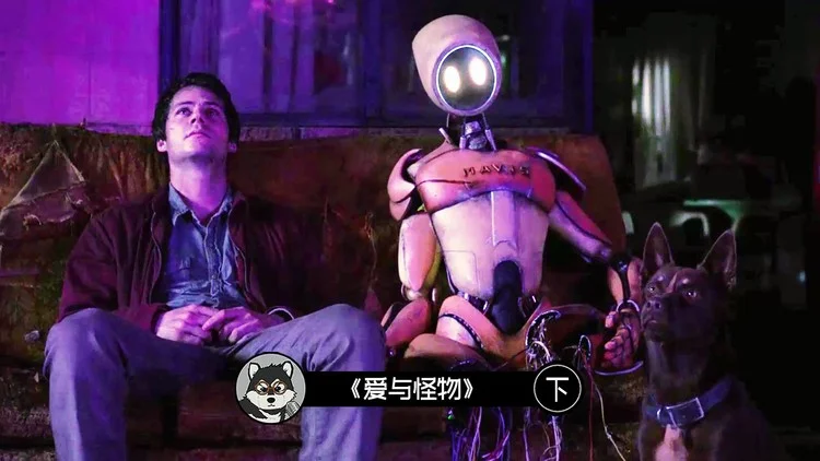 奇瑞_恩奇都_奇亚籽的功效与作用