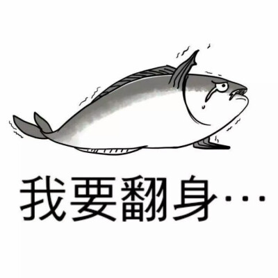 咸鱼图片表情包_表情咸鱼图片包_咸鱼表情包头像