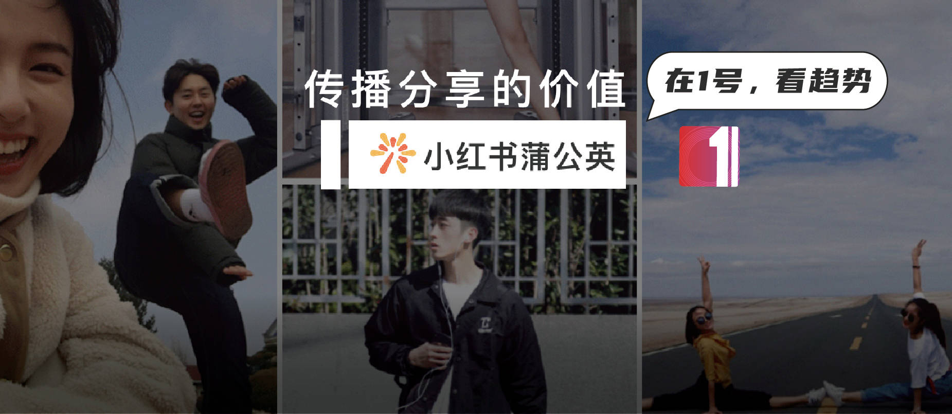 红蒲公英茶的功效与作用_小红书蒲公英怎么用_小红书蒲公英平台入口