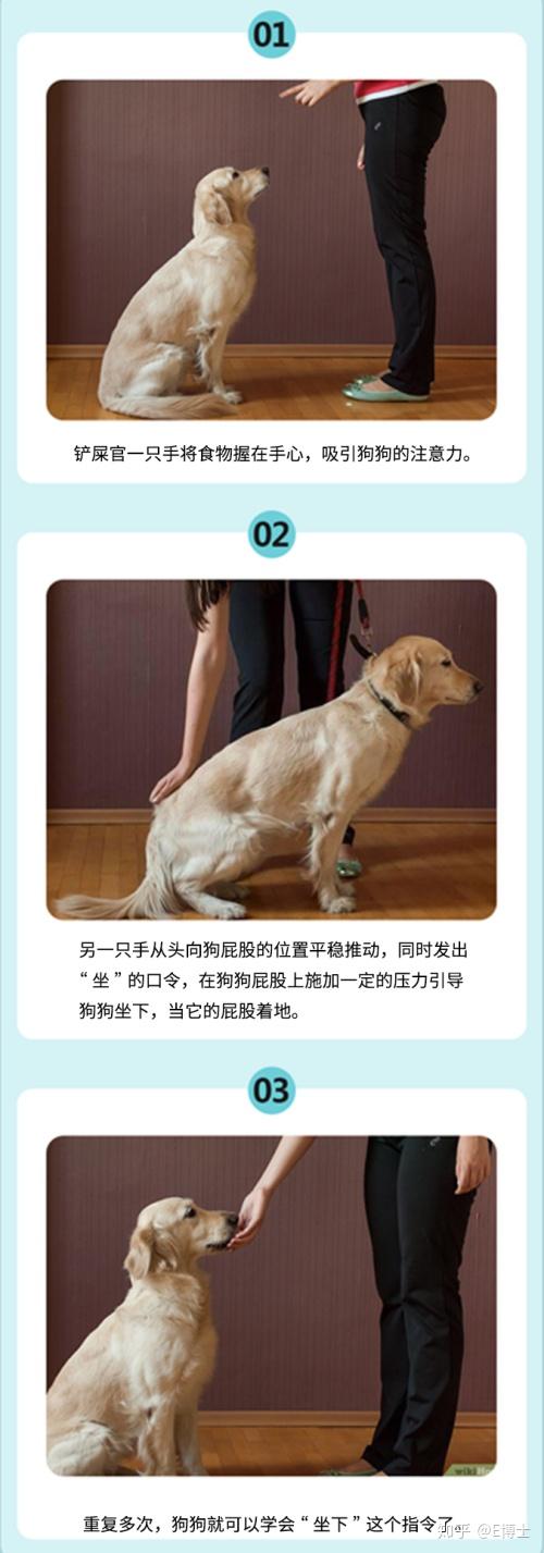 驯兽推荐手机游戏_驯兽类手游_驯兽手机游戏推荐