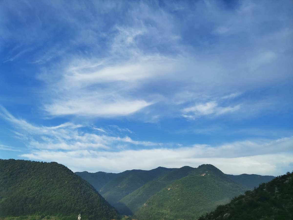 黑石稔为什么离开音熊_黑石稔配音药老_黑石稔