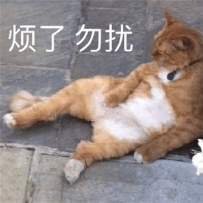 面孔铁青是成语吗_铁面孔目裴宣_铁面孔目是什么意思