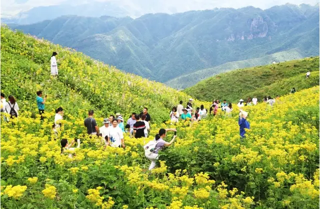 春日野诗音_春日野_春日野穹
