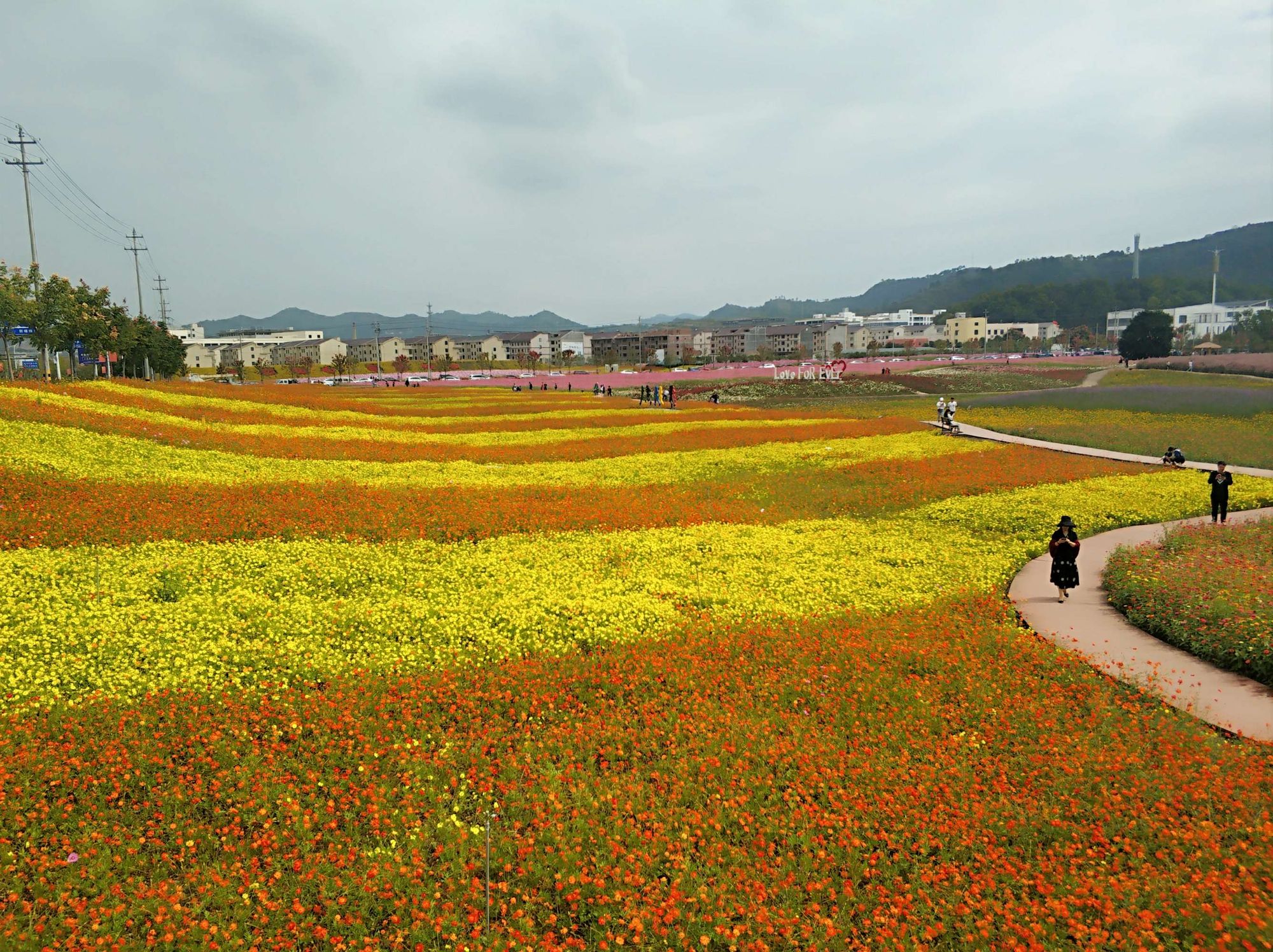 春日野_春日野穹_春日野诗音