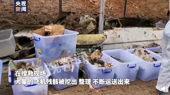 找到的飞机残骸_飞机残骸坐标_寻找飞机残骸的手机游戏