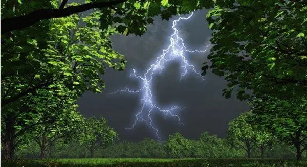 梅雨季节是指哪个时间段_梅雨季节的时间_梅雨季节是什么时间