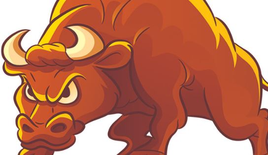 生肖属牛的年份_属牛的年份_属牛的年份