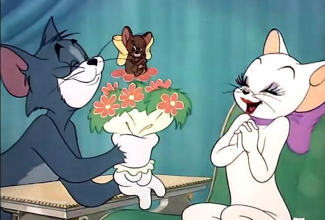 汤姆猫版下载_汤姆猫游戏手机下载_汤姆猫下载最新版