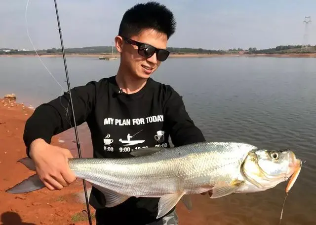 钓鱼哥是什么游戏_钓鱼哥是哪个游戏里的_爷俩玩手机钓鱼游戏