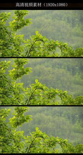 下雨短视频可保存_下暴雨的视频自己录的_视频下雨
