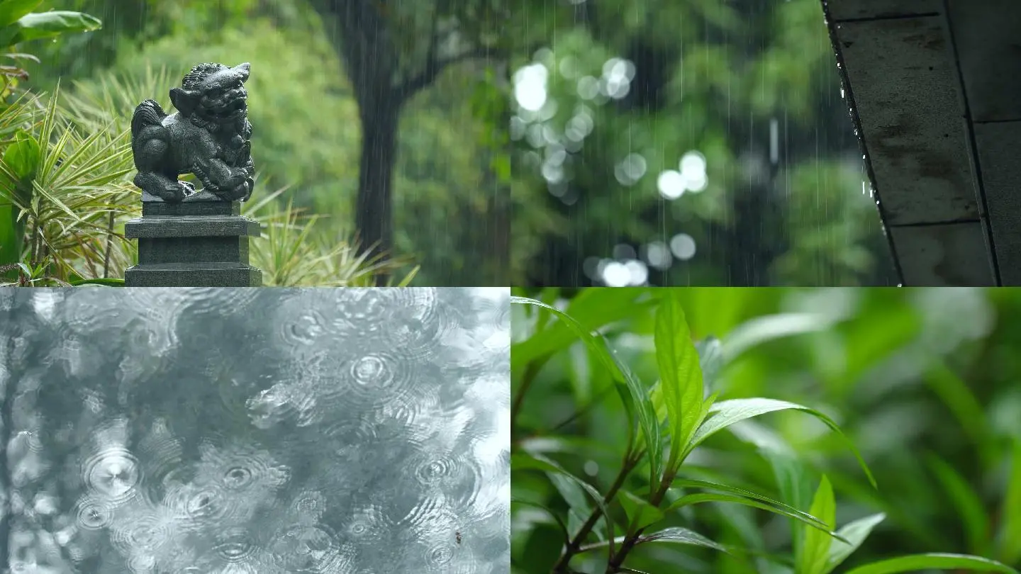 下暴雨的视频自己录的_下雨短视频可保存_视频下雨