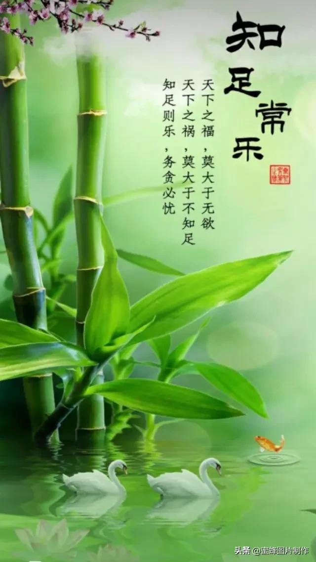弯曲屏手机游戏推荐_弯曲屏手机游戏怎么玩_弯曲屏游戏手机