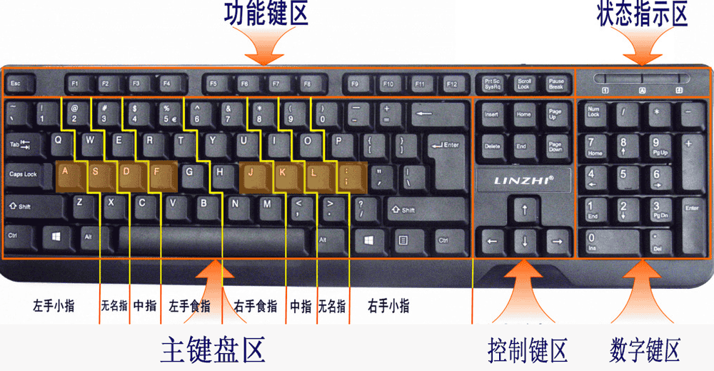 练键盘指法的软件小游戏_键盘指法练**_练键盘指法的软件