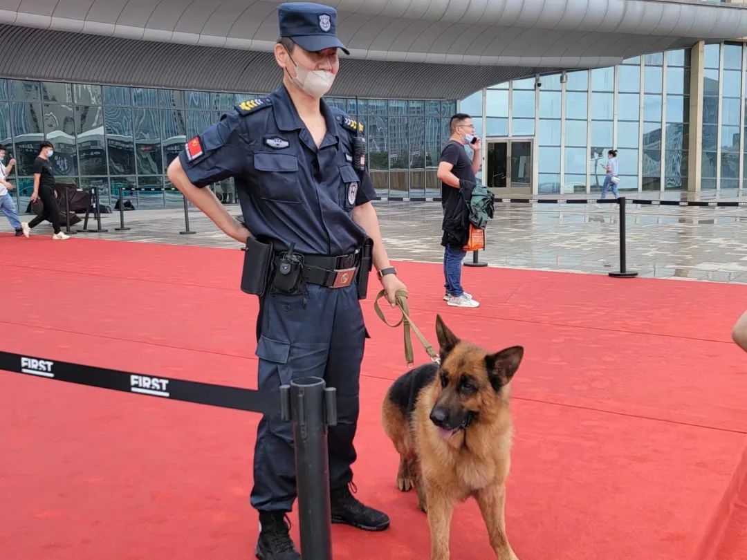 晓之护卫_晓之护卫_晓之护卫