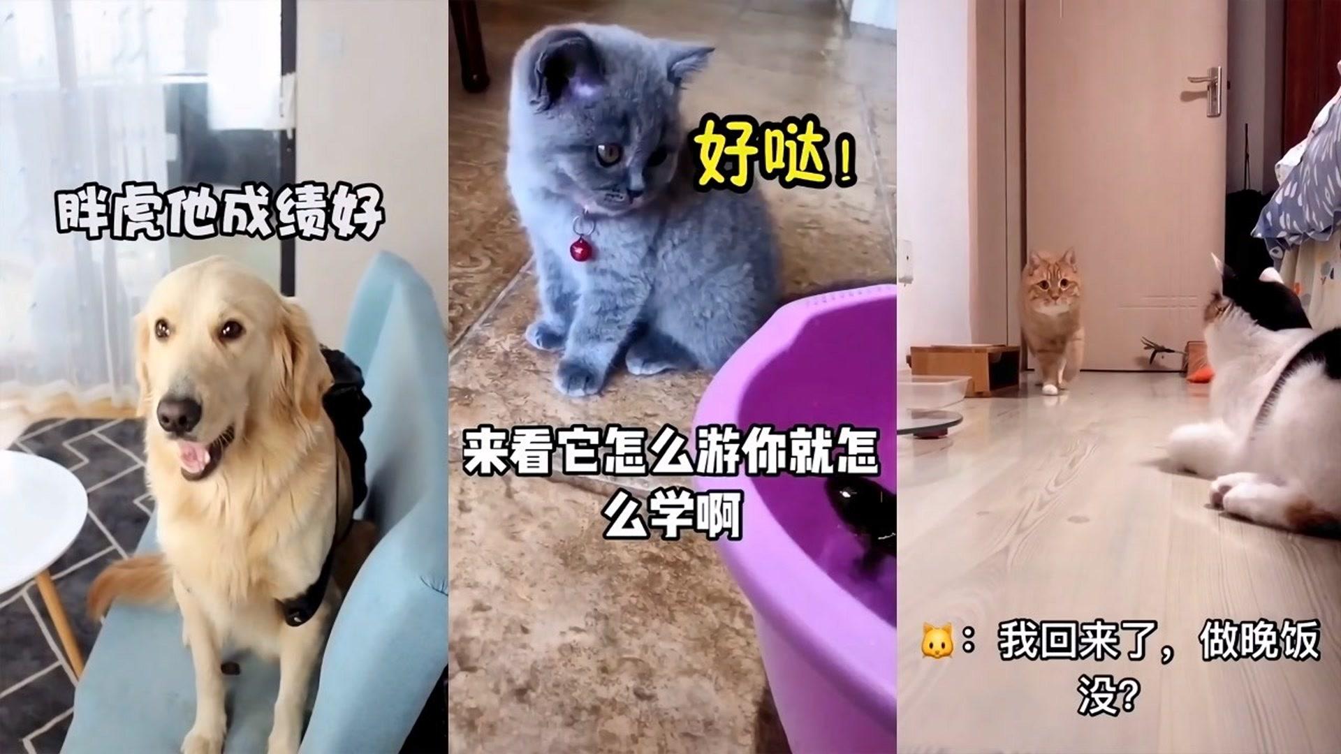 温暖抱抱在线观看完整版_温暖的抱抱在线观看_温暖抱抱免费