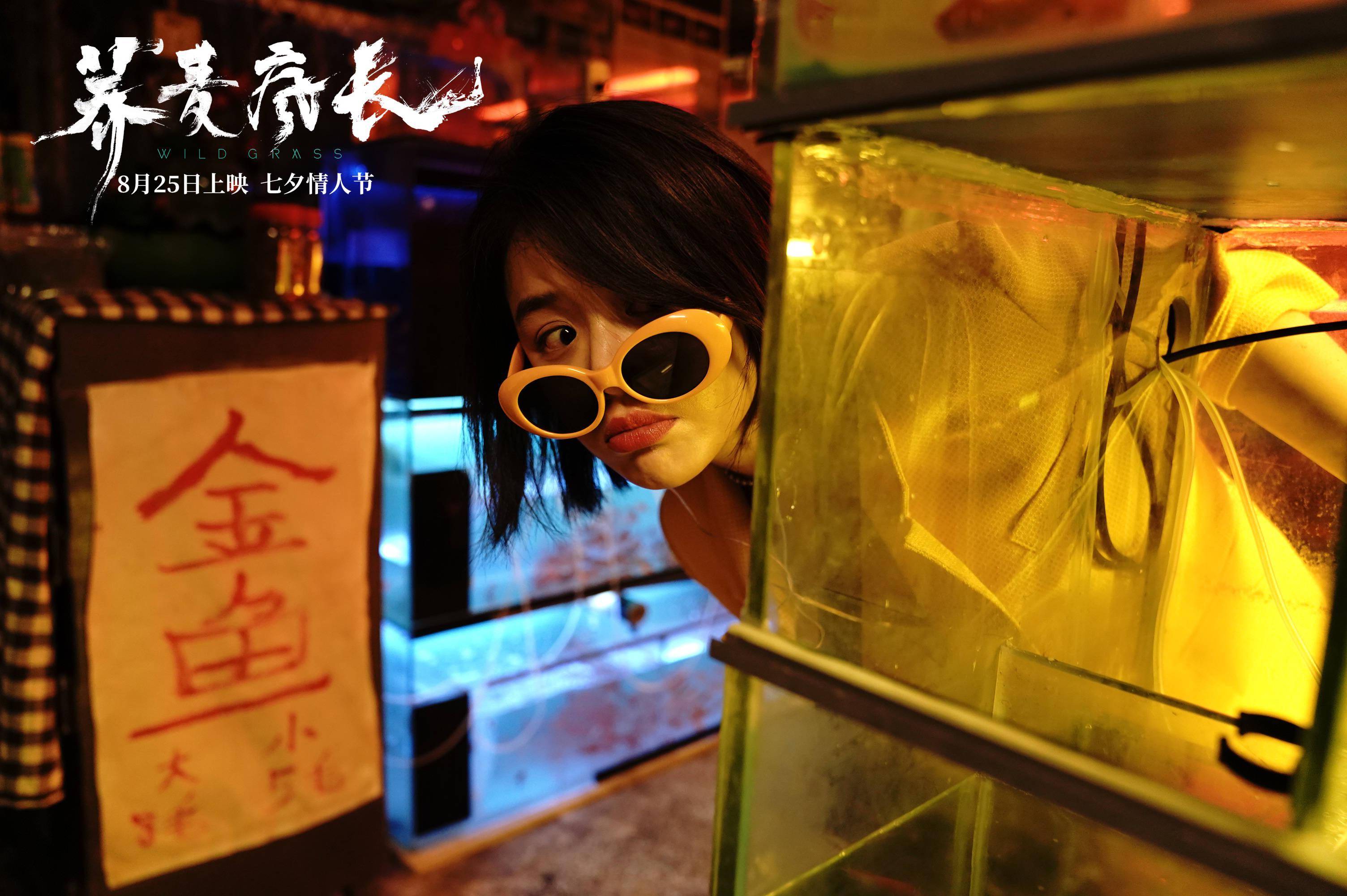 老友记重聚特辑完整版在线_老友记重聚特辑在线观看完整版_老友记重聚特辑在线观看