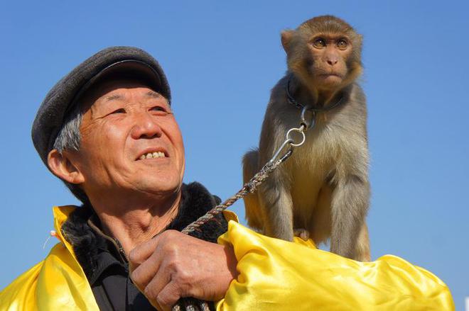 属猴的出生日期是什么_属猴的是哪一年出生_属猴出生是什么命