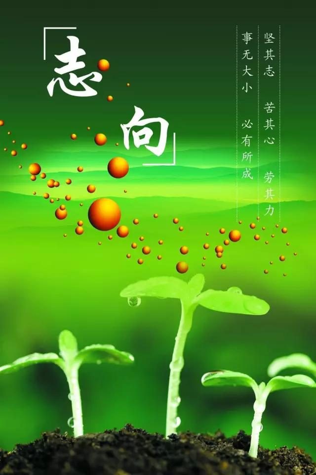 阿曼尼西斯_阿曼尼西斯百度百科_阿曼尼西斯传