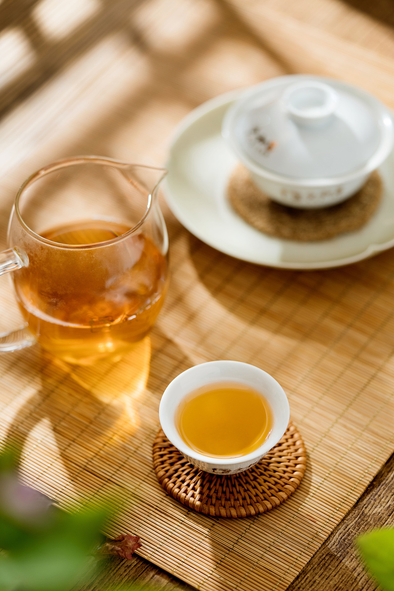 窝茶网八角亭乔木茶王_茶窝网靠谱吗_茶窝网