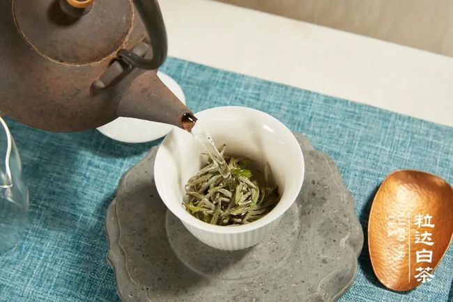 饮茶游戏手机版_饮茶汉化_饮茶模拟器