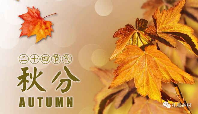节气小满的由来_节气小满的图片_小满节气