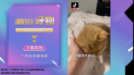 淘宝游戏皮肤打折怎么做到的_抢淘宝皮肤手机游戏怎么玩_淘宝怎么抢游戏皮肤手机