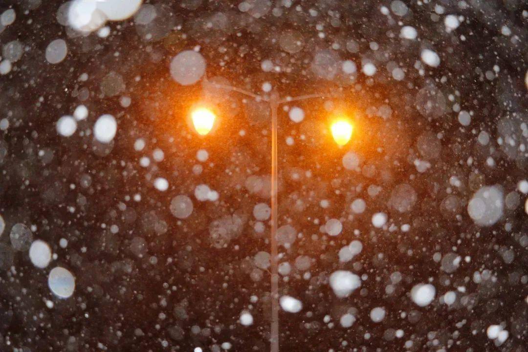 日历大雪代表什么_日历大雪图片唯美_日历大雪