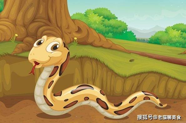 生肖1991年属什么_1989生肖_生肖1987什么生肖