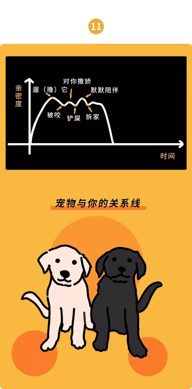 双人拉手舞最基本手动作讲解_两个人手拉手的游戏_双人手拉手手机游戏