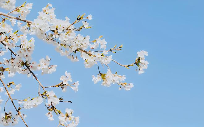 四月十八日_四月十八日_四月十八日