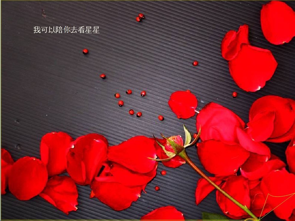 电脑重装系统清空c盘_c盘重装清空系统会怎么样_重装系统只会清空c盘吗