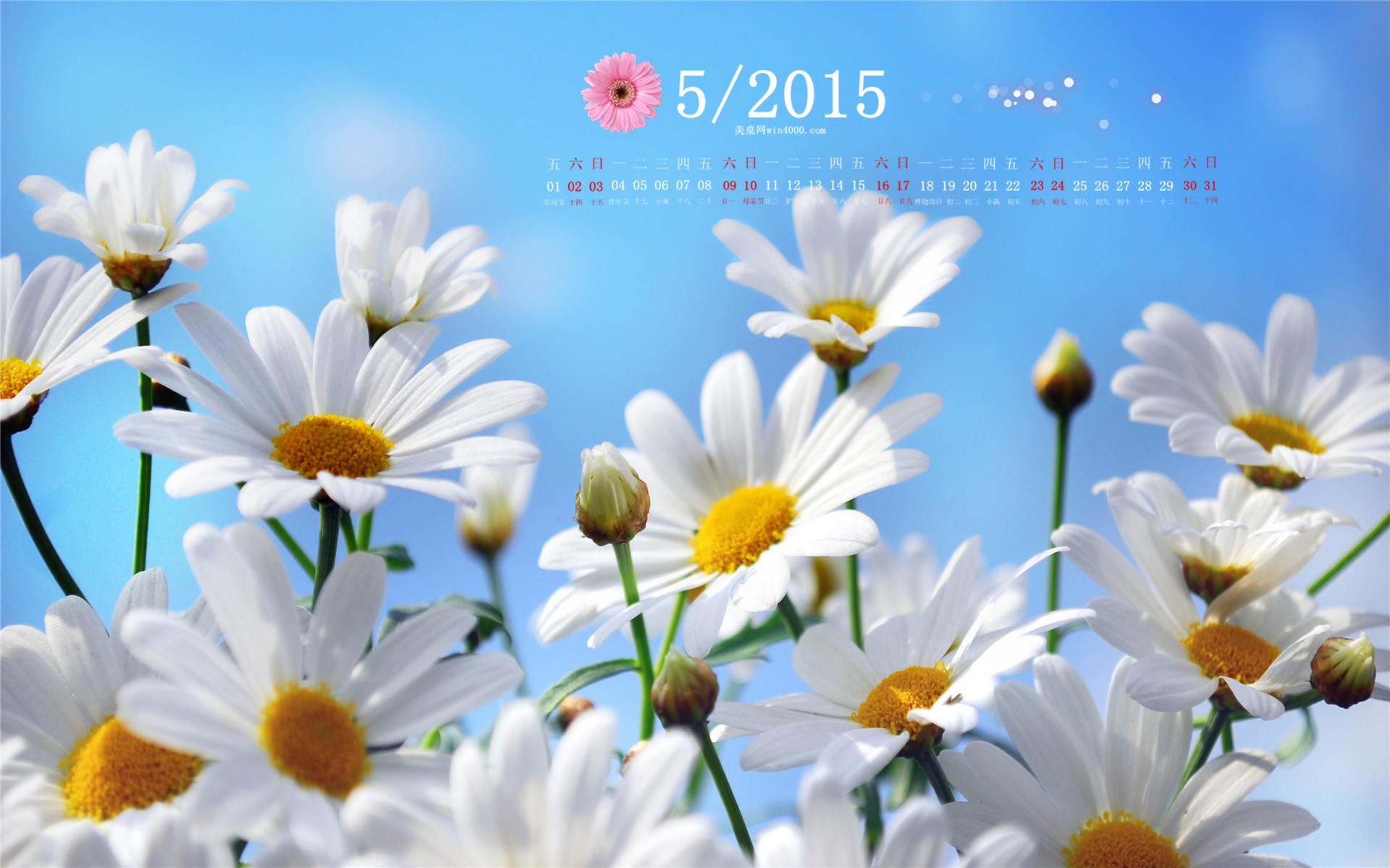 日历月份图片_日历月是什么意思_5月日历