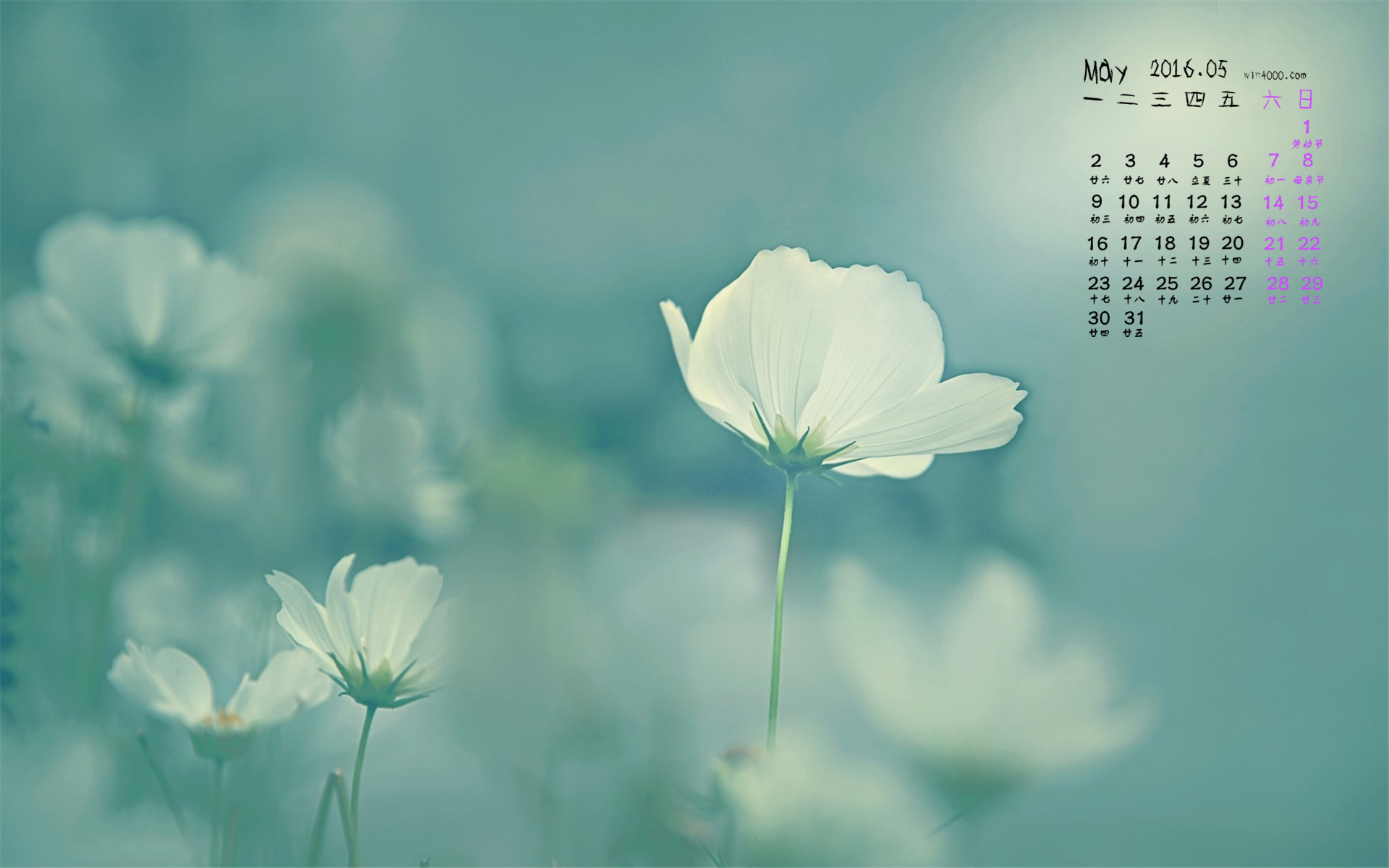 日历月是什么意思_5月日历_日历月份图片