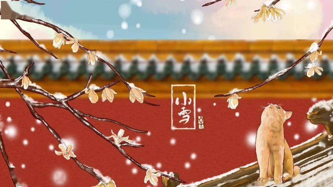 樱花庄宠物女孩游戏_樱花庄宠物女孩儿_樱花庄的宠物女孩