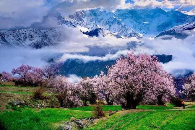 薇尔莉特伊芙加登_薇尔莉特伊芙加登_薇尔莉特伊芙加登