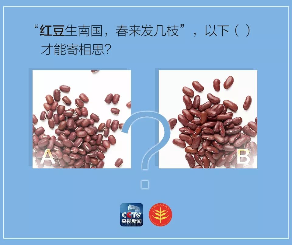 脏小豆_脏小豆粉丝群_脏小豆