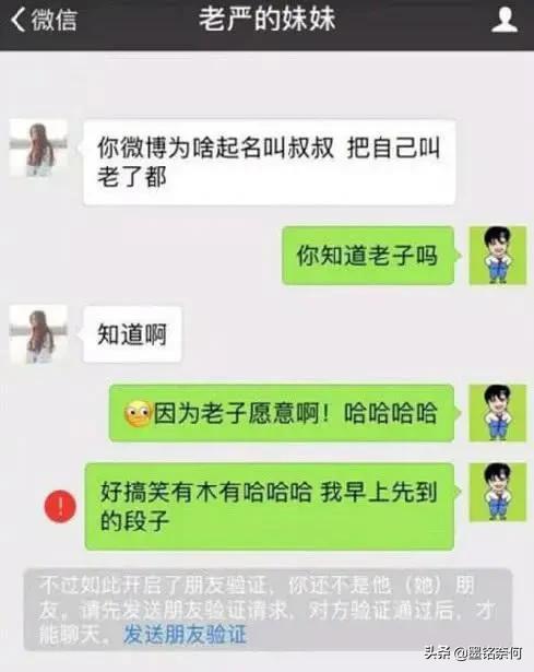 孤胆保镖_孤胆保镖又叫什么_孤胆保镖视频