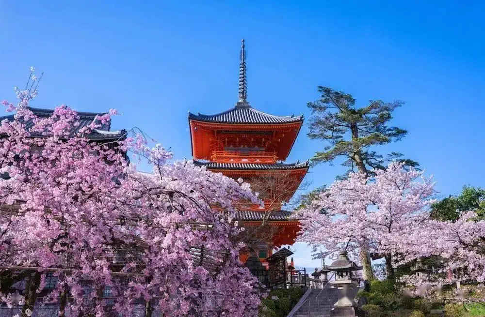 如何解锁樱花的街道_樱花街道音游_樱花街道手机游戏