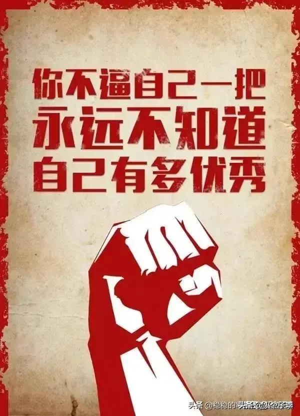 鲤鱼ace为什么退学_鲤鱼ace逃离学校里的疯女人_鲤鱼ace就读哪个大学