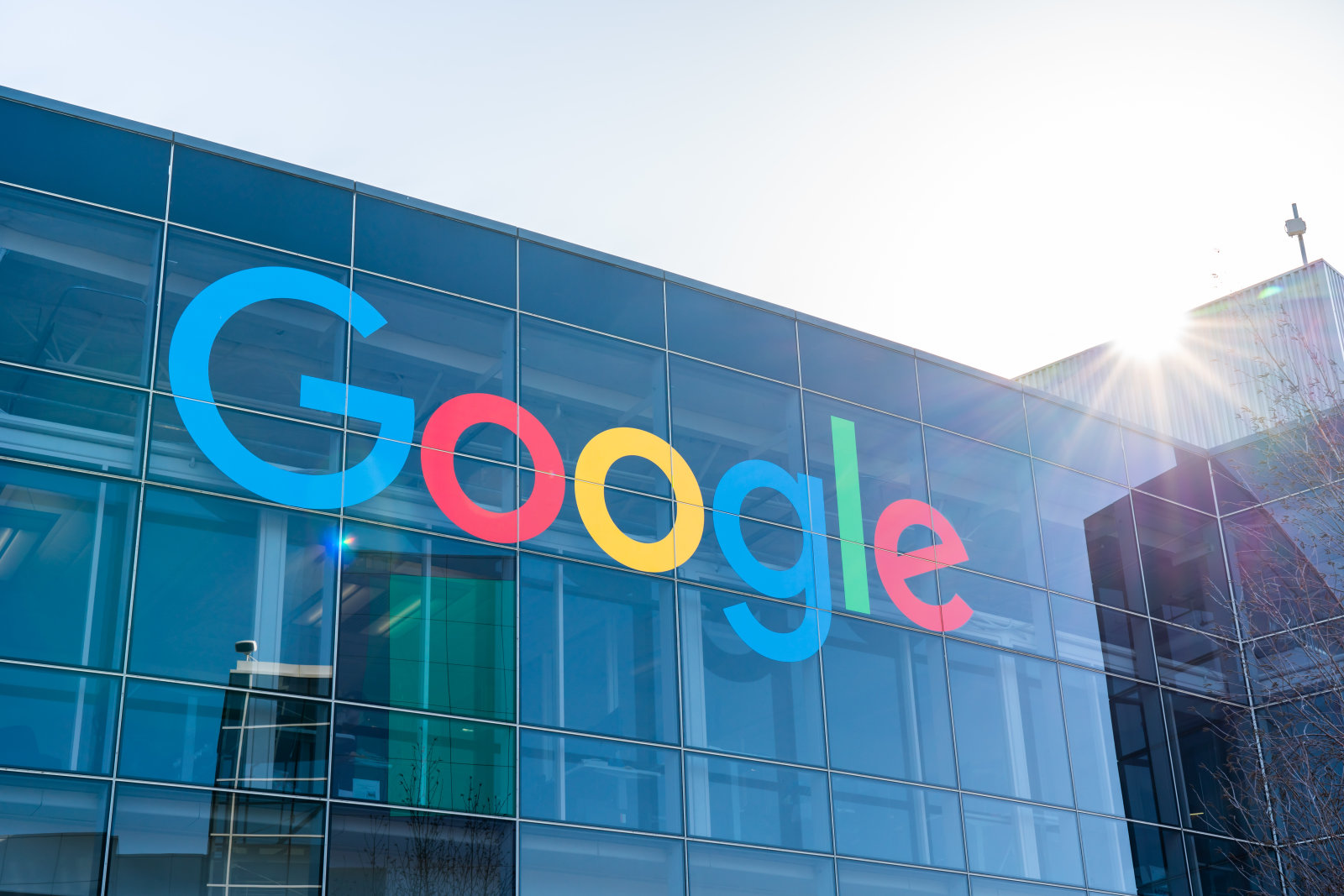 官网网址是啥啊_google官网网址_官网网址一般是怎样的