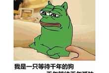 星火解说gta4_星火解说gta手机版游戏_星火解说gta5视频