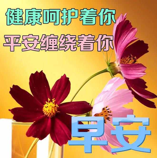 2022年3月日历_日历2021月日历表图片_2021日历月表