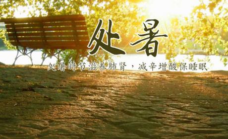 处暑的含义是什么意思_处暑一词的意思_处暑这个词的意思是什么