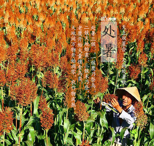 处暑一词的意思_处暑的含义是什么意思_处暑这个词的意思是什么
