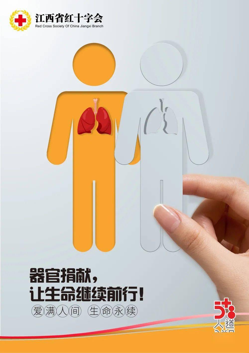 红十字运动的基本原则是_红十字运动的原则是_红十字运动的组织原则是什么