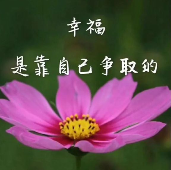 开心就好app_看到你的信息就好开心_就好开心文案短句