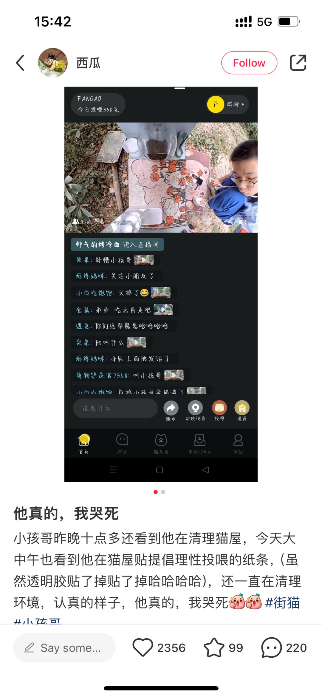 勇太_勇者_勇敢的心