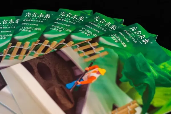 小游戏穿越火线直接玩_火线穿越游戏规则_小伙用手机玩穿越火线游戏