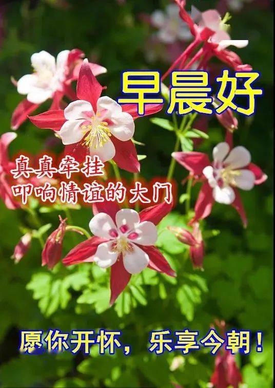 无需网络的手机打篮球游戏_手机篮球单机游戏不需要网络_打篮球游戏不用网的